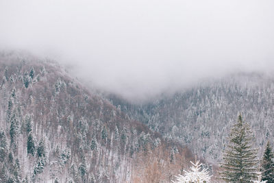 Scenic view of mountains against sky during winter