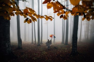 Autumn leaves on field