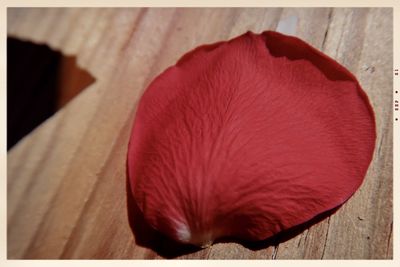 Close-up of red rose flower on wood