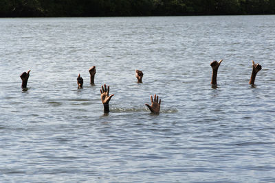 Hands out of the river water. city of são francisco do conde in bahia, brazil.