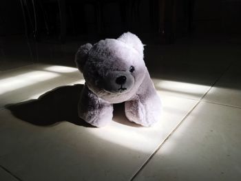 View of stuffed toy on floor at home