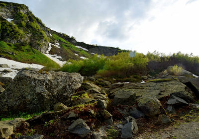 Scenic view of landscape against sky