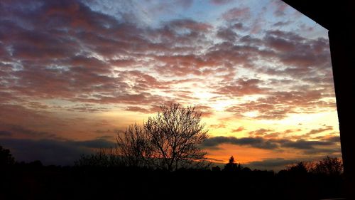 Silhouette trees against dramatic sky during sunset