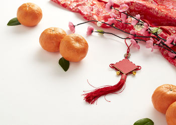 High angle view of fruits on table against white background