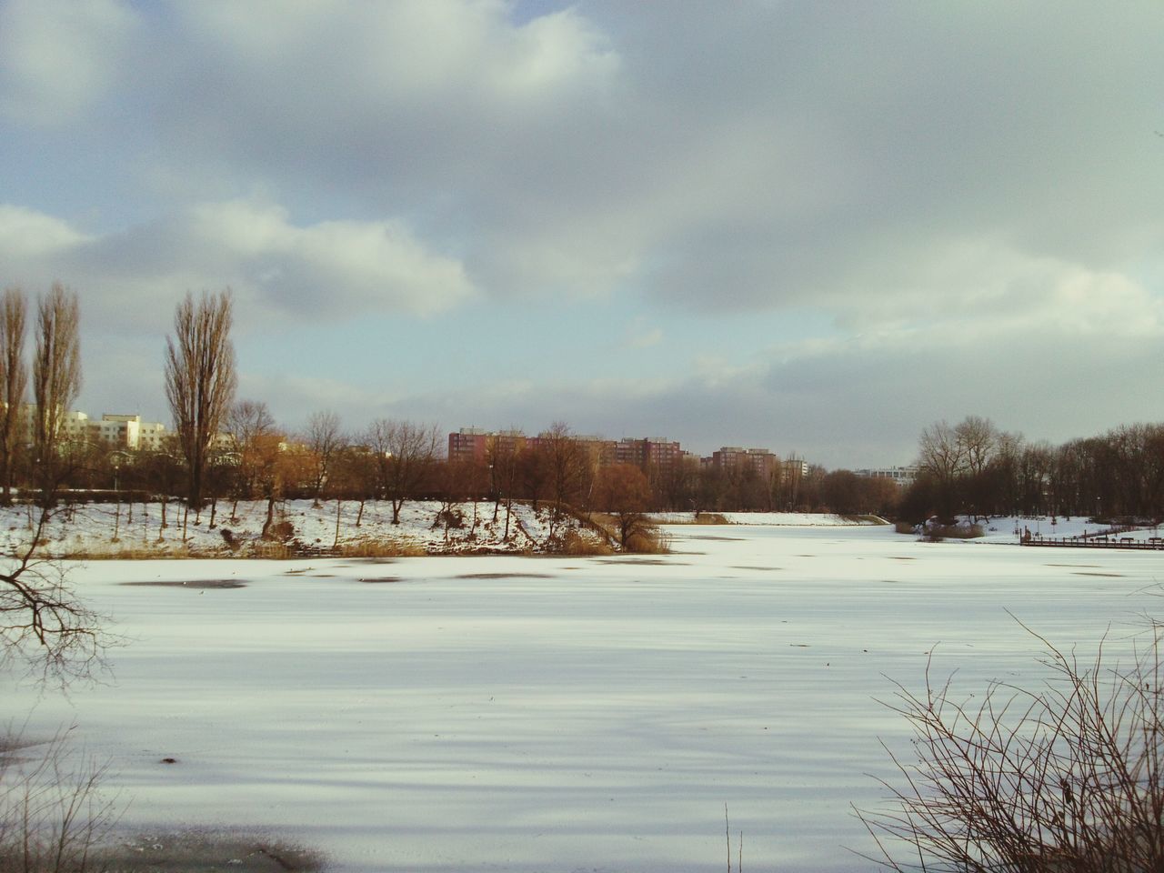 snow, winter, cold temperature, season, weather, covering, frozen, landscape, tree, sky, tranquil scene, tranquility, field, nature, white color, covered, beauty in nature, snow covered, scenics, bare tree