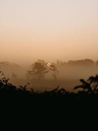 Silhouette trees on landscape against sky during sunset