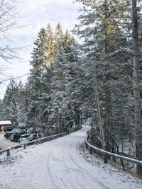 Snow covered road in winter