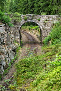 Arch bridge over road amidst trees in forest