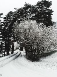 Snow covered road in winter