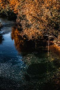 Scenic view of lake during autumn