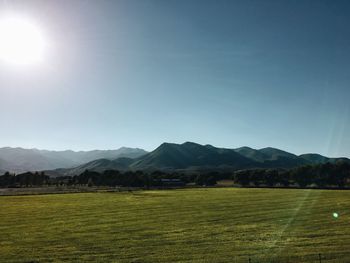 Scenic view of field against clear sky