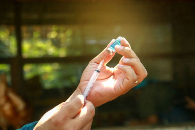 Close-up of woman hand holding finger