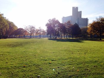 Trees on grassy field in park