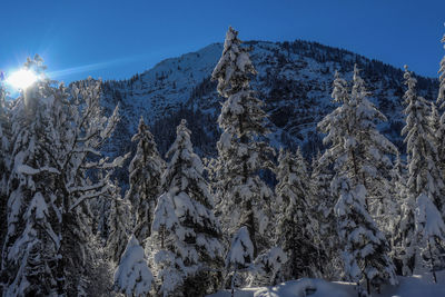 Scenic view of snowcapped mountains against clear sky