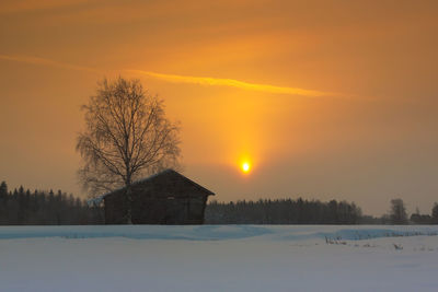 Sun shining through trees on snow covered landscape