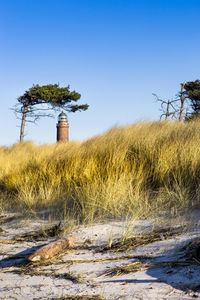 Scenic view of beach against clear sky