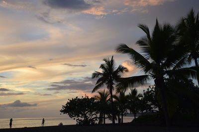 Silhouette palm trees on beach against sky at sunset