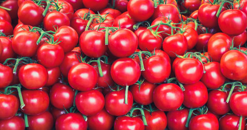 Full frame shot of tomatoes