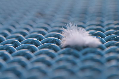 Close-up of feather on table