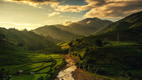 Scenic view of agricultural field against sky during sunset