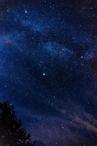 Low angle view of stars in sky