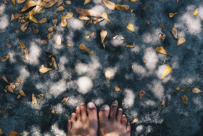 Low section of person with leaves in water