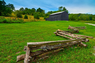 Scenic view of agricultural field against sky