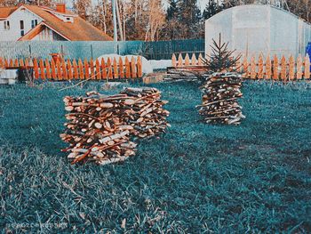 Stack of logs on field
