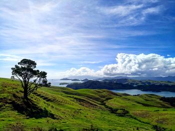 Scenic view of landscape against sky