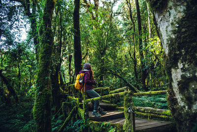 Man amidst trees in forest