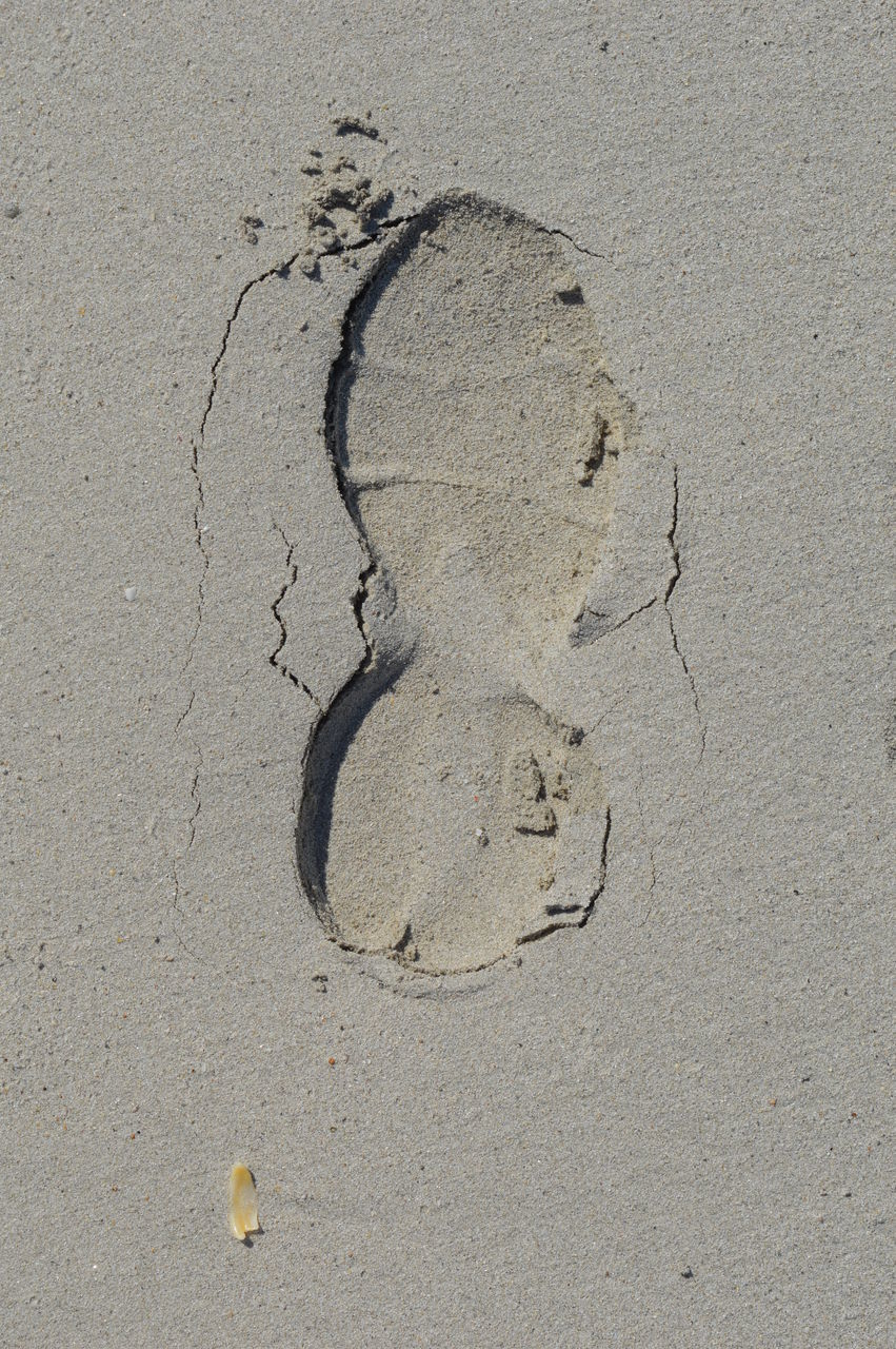 HIGH ANGLE VIEW OF FOOTPRINTS ON WET SAND