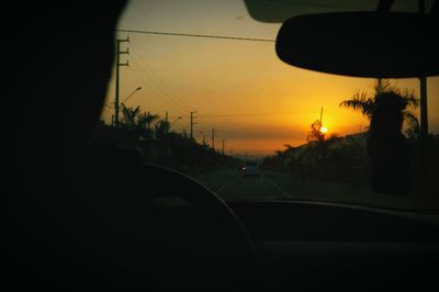 Silhouette of trees at sunset