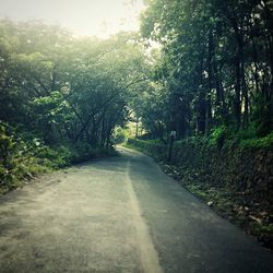 Road passing through forest