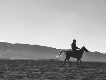 Full length of man riding horse on sand against sky