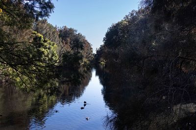 View of ducks swimming in lake