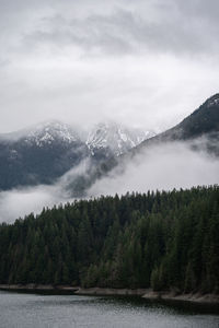 Scenic view of lake in forest against sky