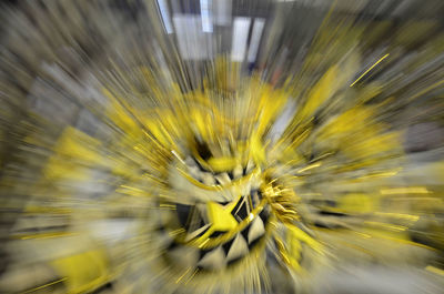 Close up of yellow flowers