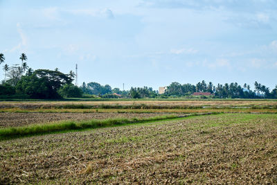 Scenic view of field against sky