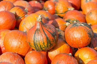 Full frame shot of pumpkins