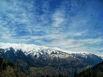 Bird flying over mountain against sky