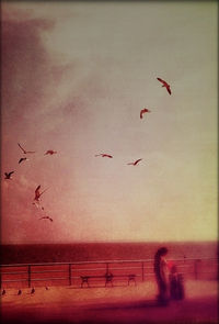 Birds flying over white background