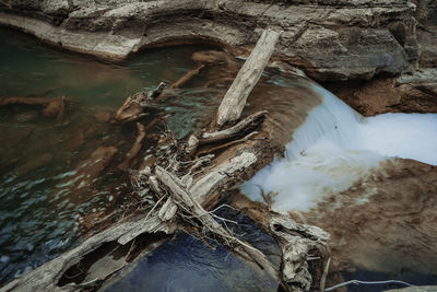 High angle view of driftwood in river