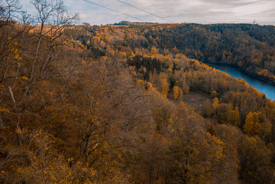 Scenic view of landscape against sky during autumn