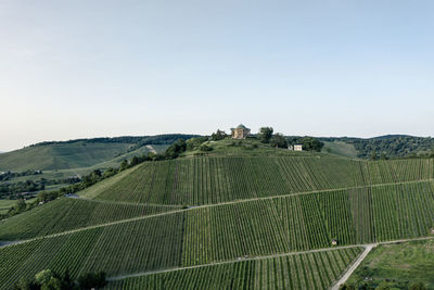 Scenic view of vineyard against sky