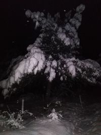 Close-up of frozen sea against sky at night