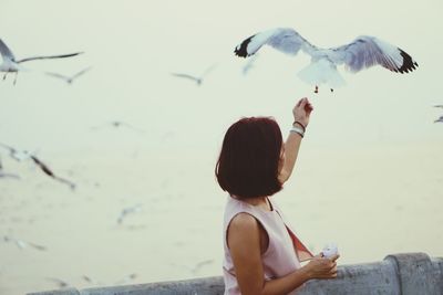 Rear view of woman with seagull flying over sea