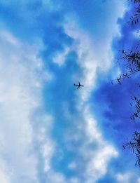 Low angle view of airplane flying in sky