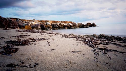 Scenic view of beach against sky