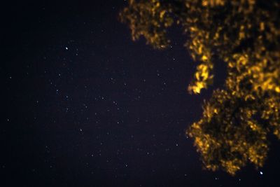 Low angle view of stars in sky