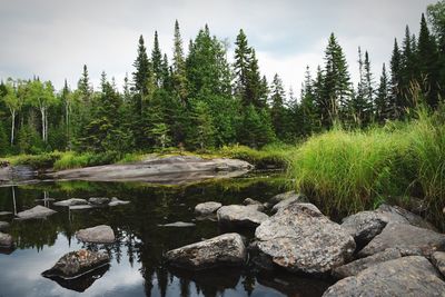 Scenic view of waterfall in forest against sky